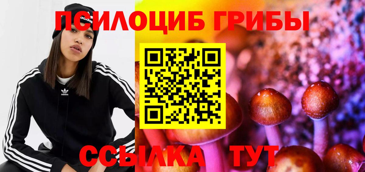 Галлюциногенные грибы GOLDEN TEACHER  Вход с VPN  Галлюциногенные грибы прущие грибы  Топки 