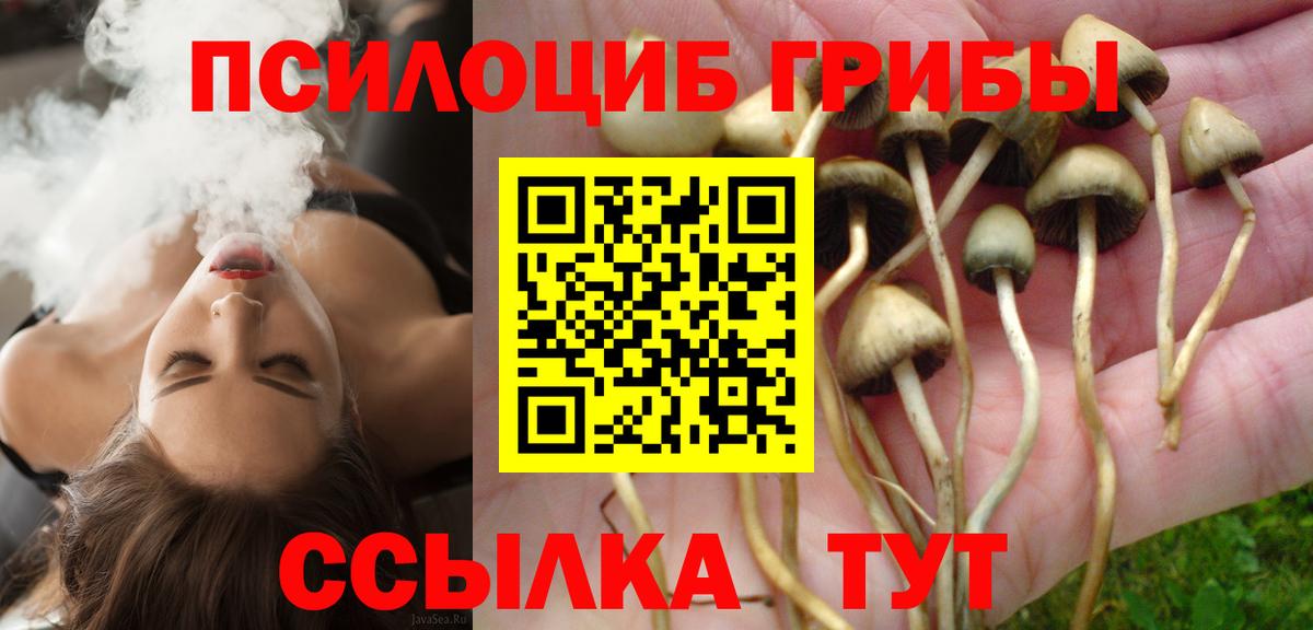 Псилоцибиновые грибы GOLDEN TEACHER Топки